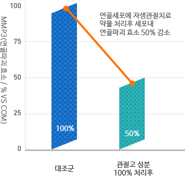 ڻѹ溴 ġ ŹٷѾ - ȿ ׷  ̹  ڻġ๰ ó   ı ȿ 50%   ׷