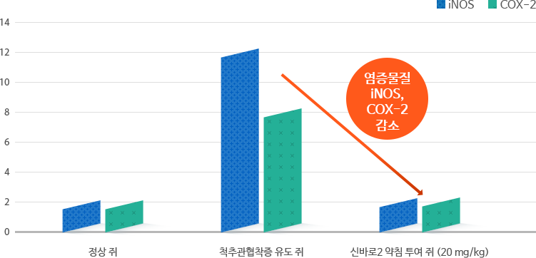ڻѹ溴 ġȿ ô߰- iNOS , COX-2 /  iNOS,COX-2 /   ô߰   / Źٷ2 ħ   (20 mg/kg)